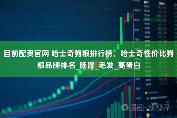 目前配资官网 哈士奇狗粮排行榜，哈士奇性价比狗粮品牌排名_肠胃_毛发_高蛋白