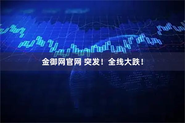 金御网官网 突发！全线大跌！