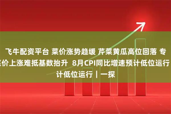 飞牛配资平台 菜价涨势趋缓 芹菜黄瓜高位回落 专家：菜价上涨难抵基数抬升  8月CPI同比增速预计低位运行｜一探